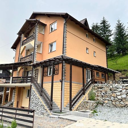 Pensiunea 3Flori De Colt Hotel Statjunea Borsa ภายนอก รูปภาพ