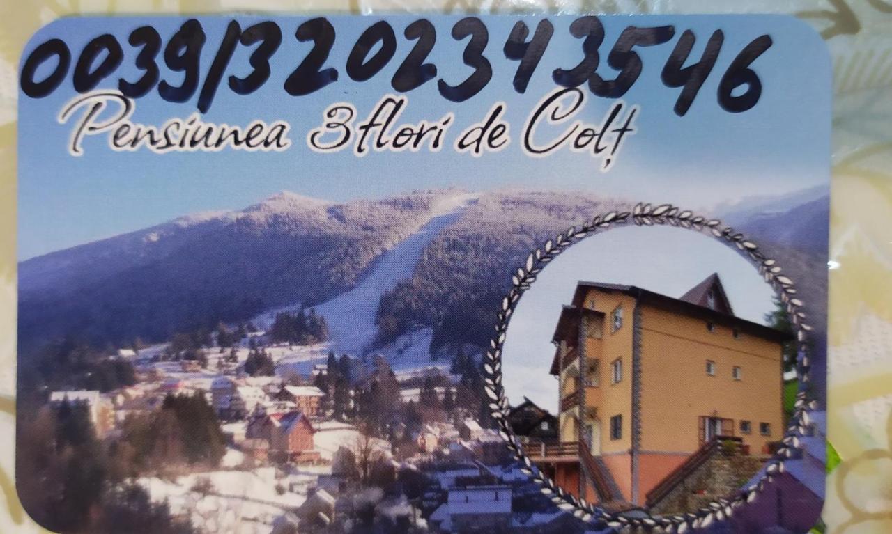 Pensiunea 3Flori De Colt Hotel Statjunea Borsa ภายนอก รูปภาพ
