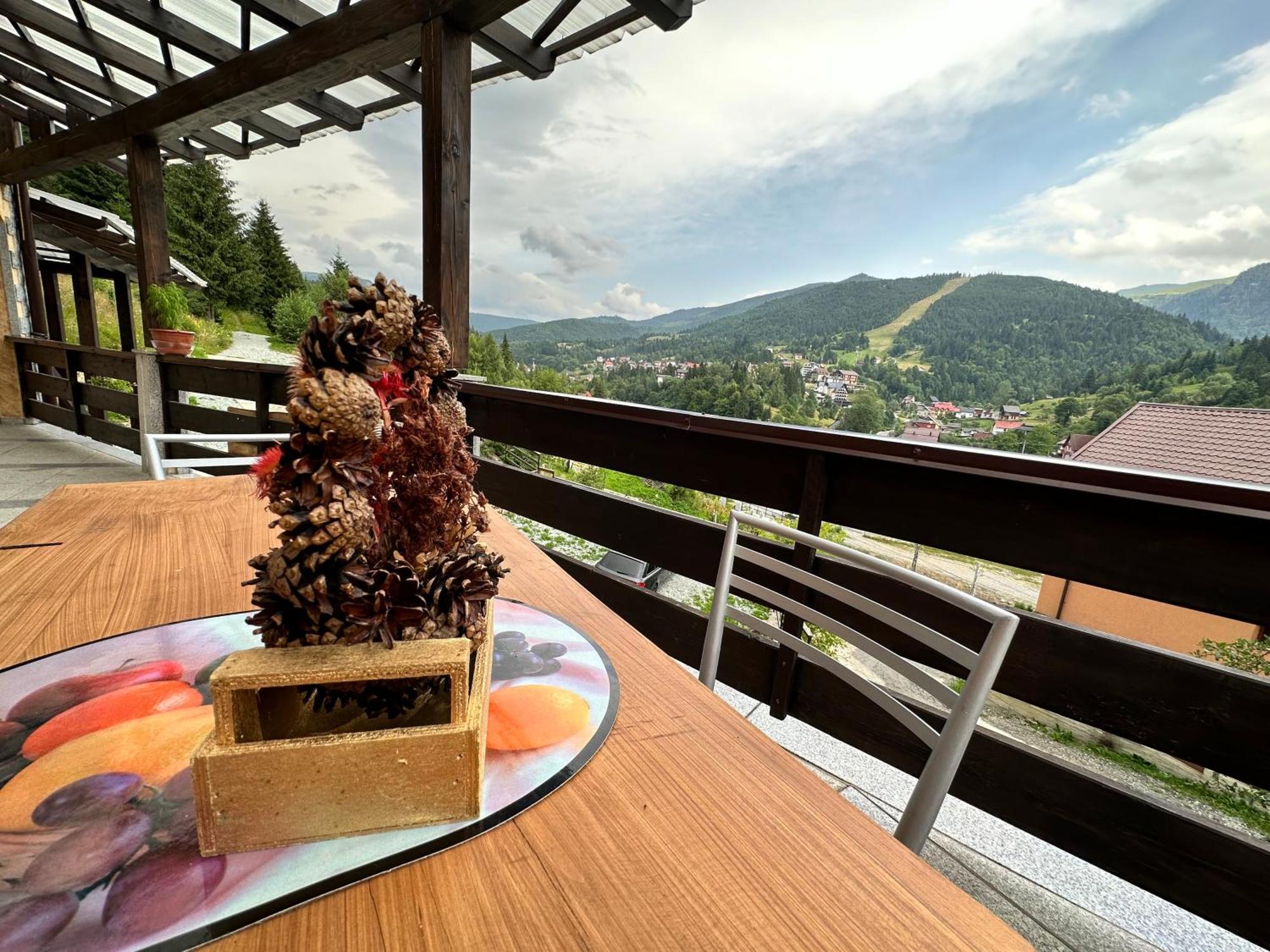 Pensiunea 3Flori De Colt Hotel Statjunea Borsa ภายนอก รูปภาพ